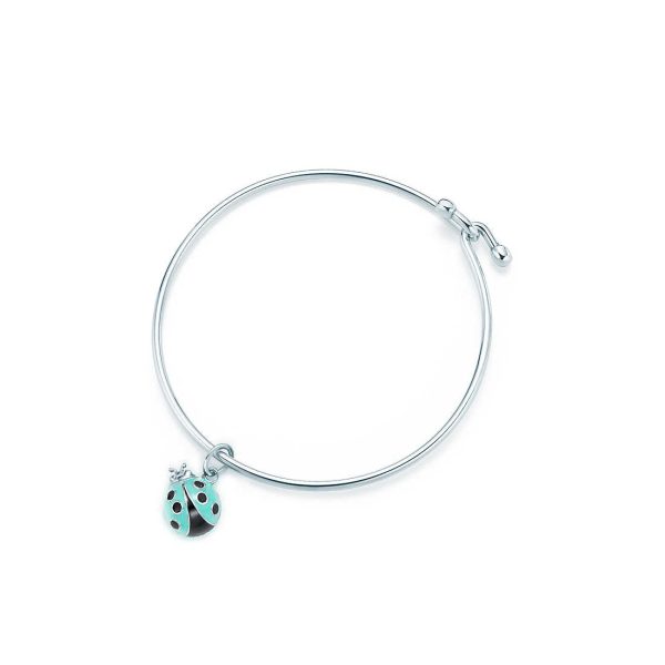 Ladybug Charm and Bracelet