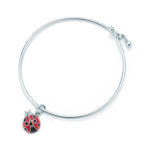 Ladybug Charm and Bracelet