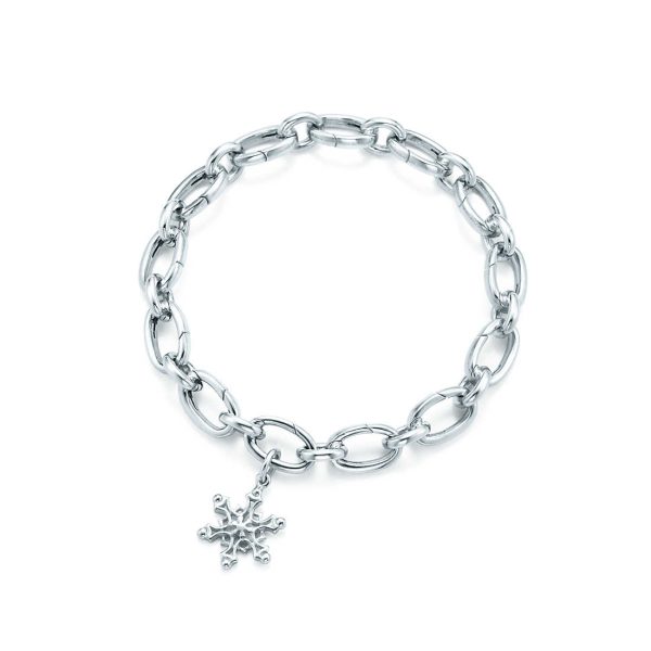 Snowflake charm and bracelet