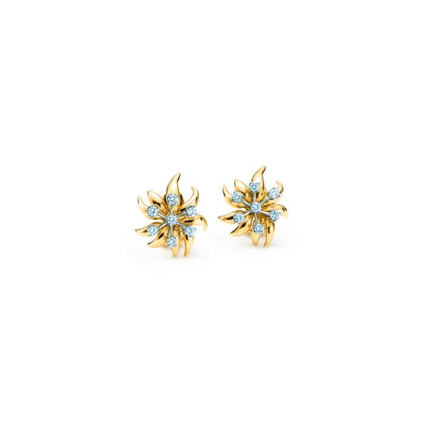 Flame Ear Clips