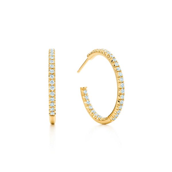 Hoop Earrings