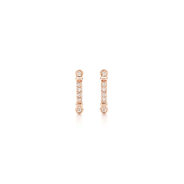 Key Stem Earrings