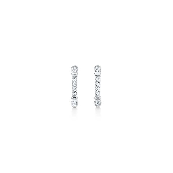 Key Stem Earrings