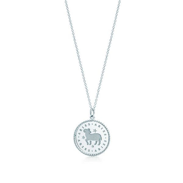Zodiac charm and chain