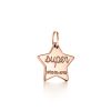 Super Star Charm - Image 2