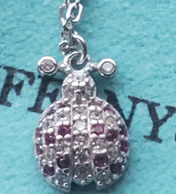 Tiffany Co Love Bug Ladybug Charm Round Circle Pendant 4 Necklace Bracelet  MINT